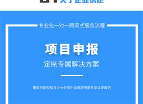 （技术改造）项目申报_05