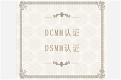 DCMM/DSMM认证