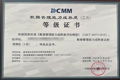 DCMM/DSMM认证