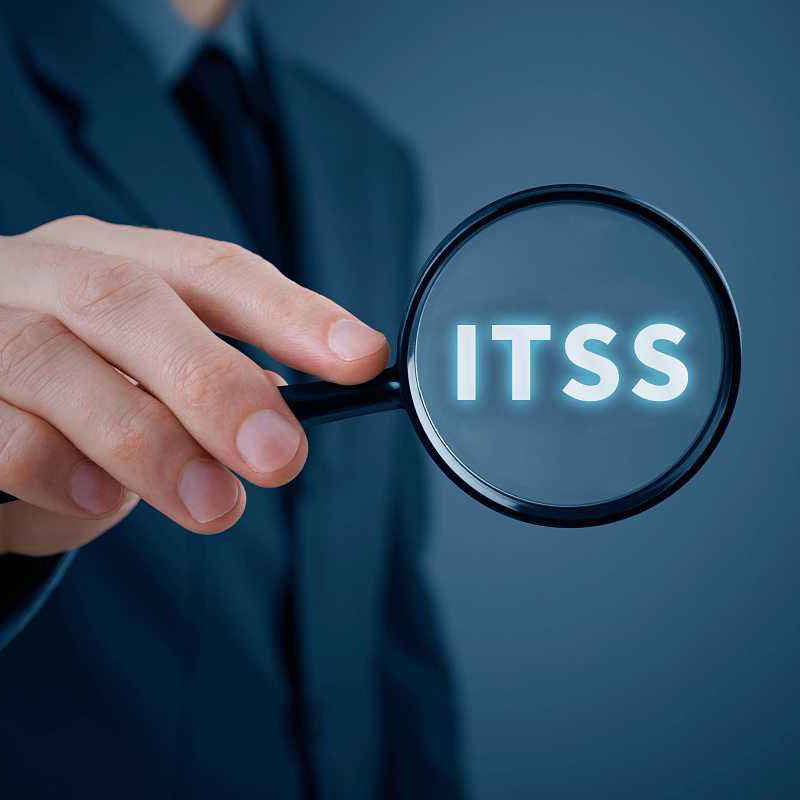 2019年信息技术服务标准（ITSS)评估时间及评估安排