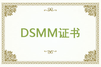 DSMM数据安全能力成熟度模型
