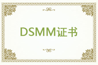 DSMM数据安全能力成熟度模型